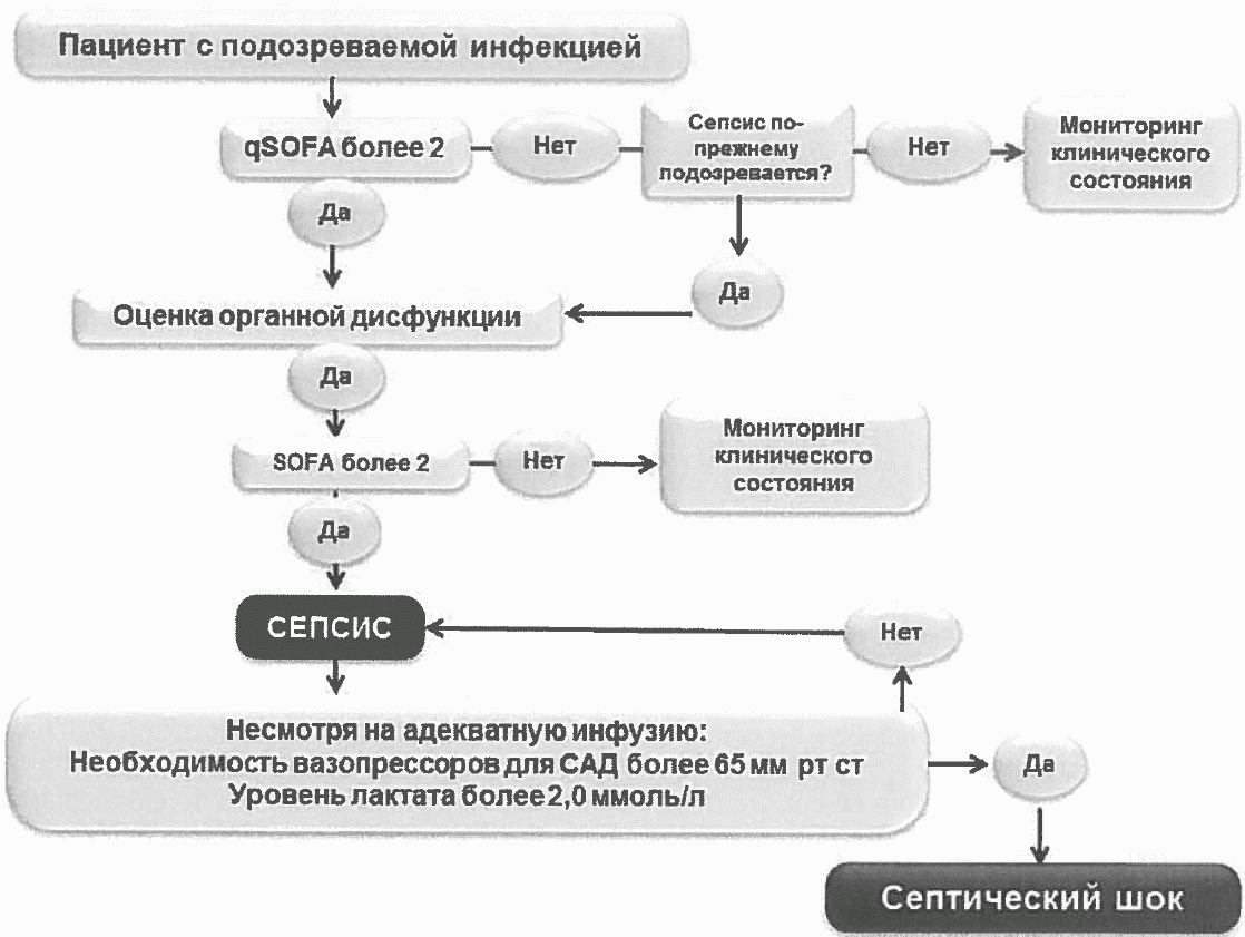 Вы точно человек?