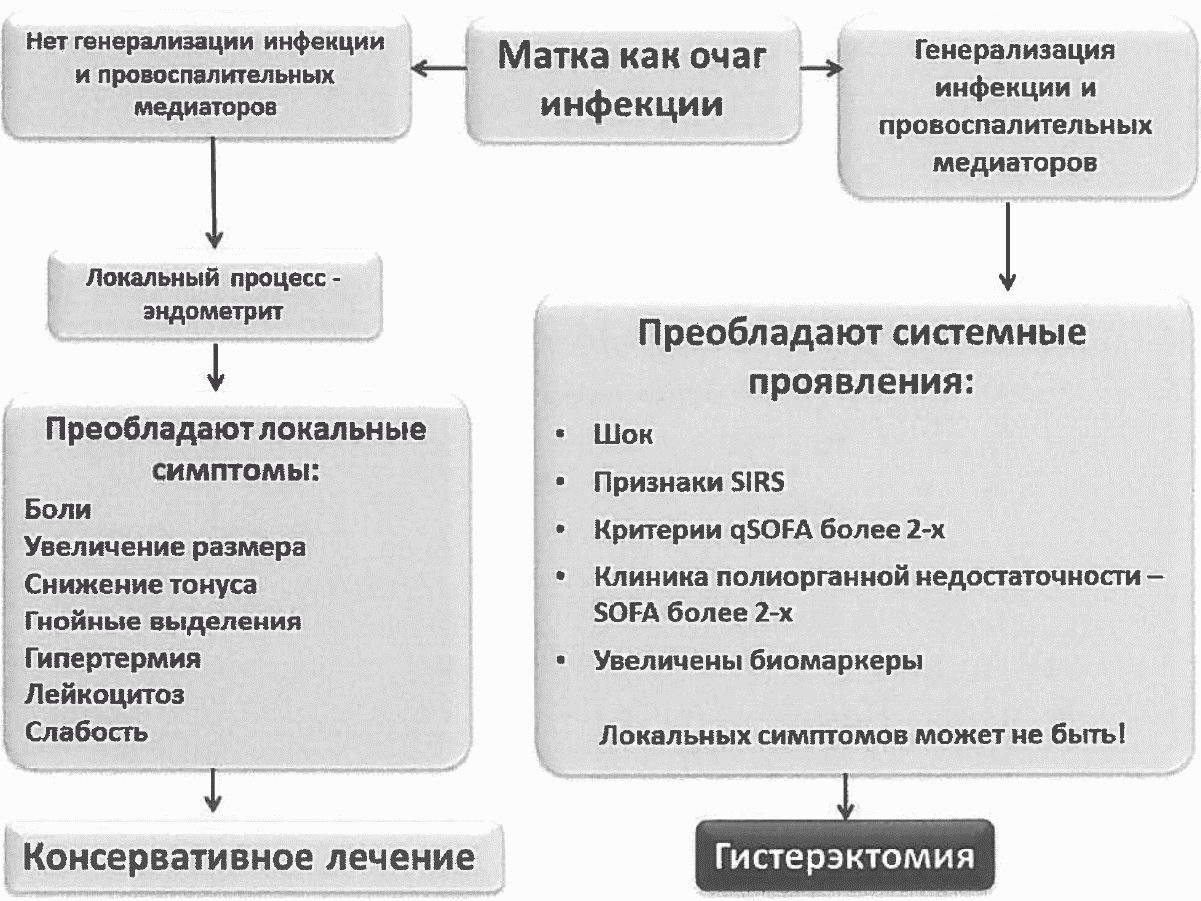 Письмо Минздрава России от 06.02.2017 N 15-4/10/2-728 О направлении  клинических рекомендаций Септические осложнения в акушерстве (вместе с  Клиническими рекомендациями (протоколом лечения)..., утв. Российским  обществом акушеров-гинекологов 10.01.2017 ...