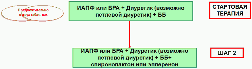 Стеноз и окклюзия почечных артерий