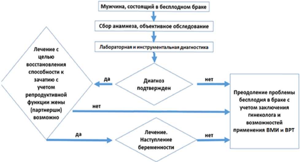 Антиспермальные антитела АСАТ