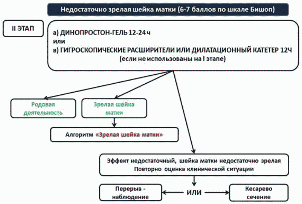 Неудачная попытка стимуляции родов клинические рекомендации. Подготовка шейки матки к родам клинические рекомендации. Таблетка для стимуляции шейки мифепристон. Мифепристон для стимуляции родов. Мифепристон для стимуляции шейки матки перед родами.