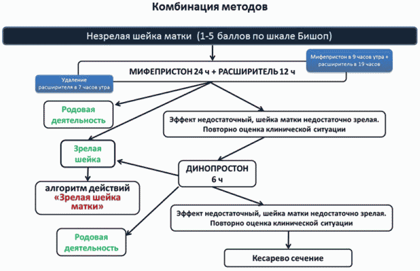 Подготовленная шейка матки. Преиндукция родов клинические рекомендации. Индукция родов клинические рекомендации. Таблетки для родовой стимуляции мифепристон. Подготовка шейки матки к родам клинические рекомендации.