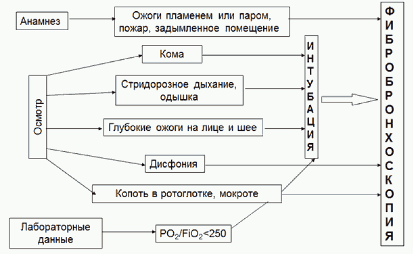 зеленый практикуп по фозиологии - Стр 30