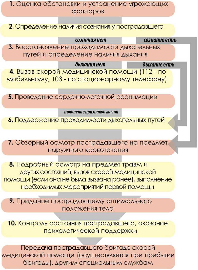 Письмо Минздрава России от 20.01.2023 N 30-2/И/2-791 О направлении  алгоритма оказания первой помощи